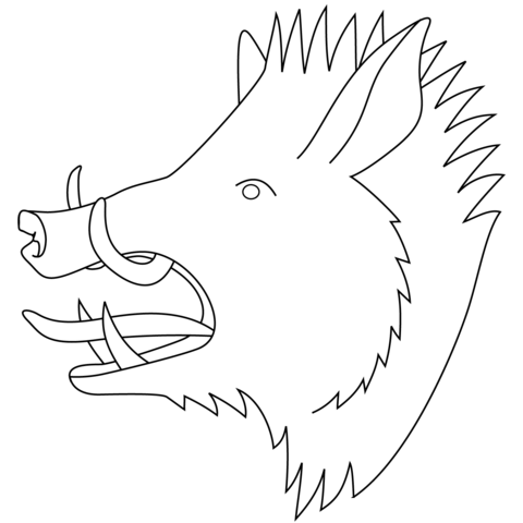 Wild Boar Head Coloring Page